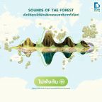 Sound of the forest-01