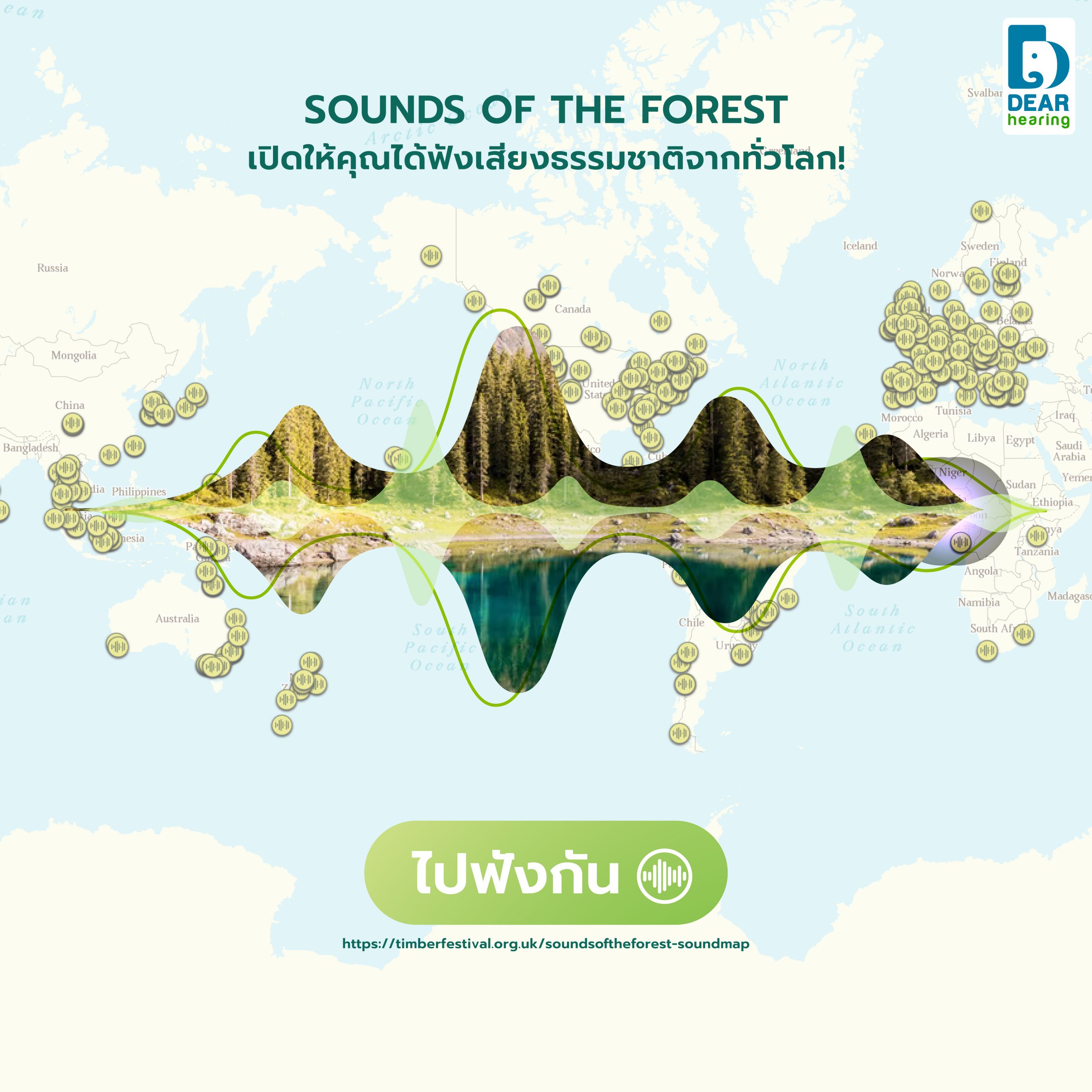 sounds-of-the-forest